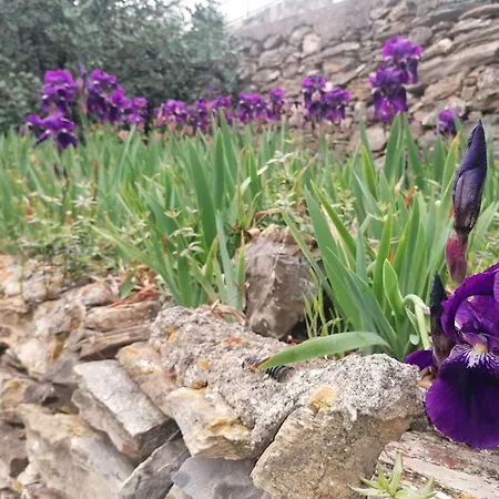 Nature Privat bolig Alassio